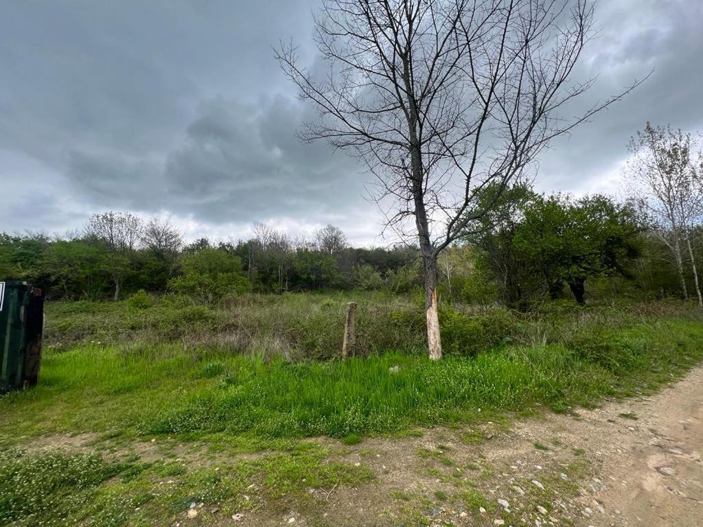 частен двор Bulgarian For Tents Campsite Kazanlak